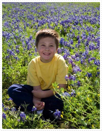 Beck Hayden-Texas Bluebonnets Beck Hayden-Texas Bluebonnets